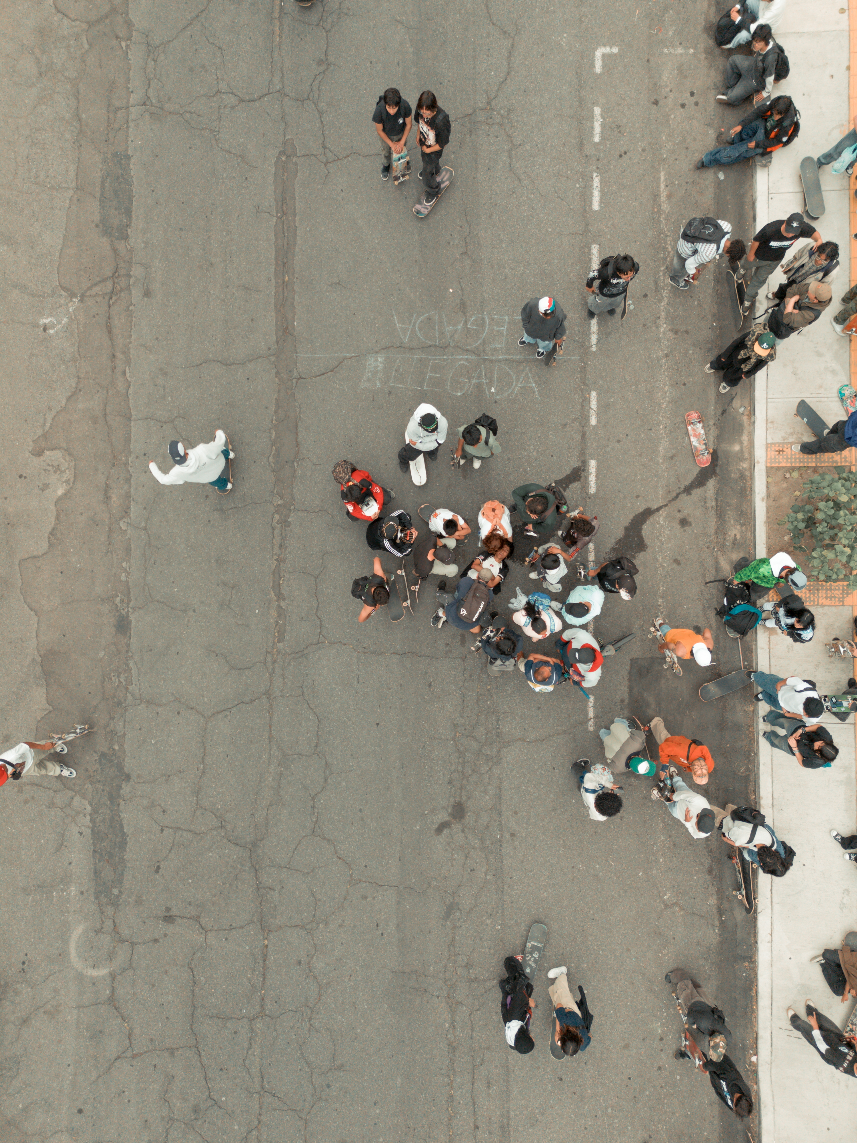 Go skate day 2026