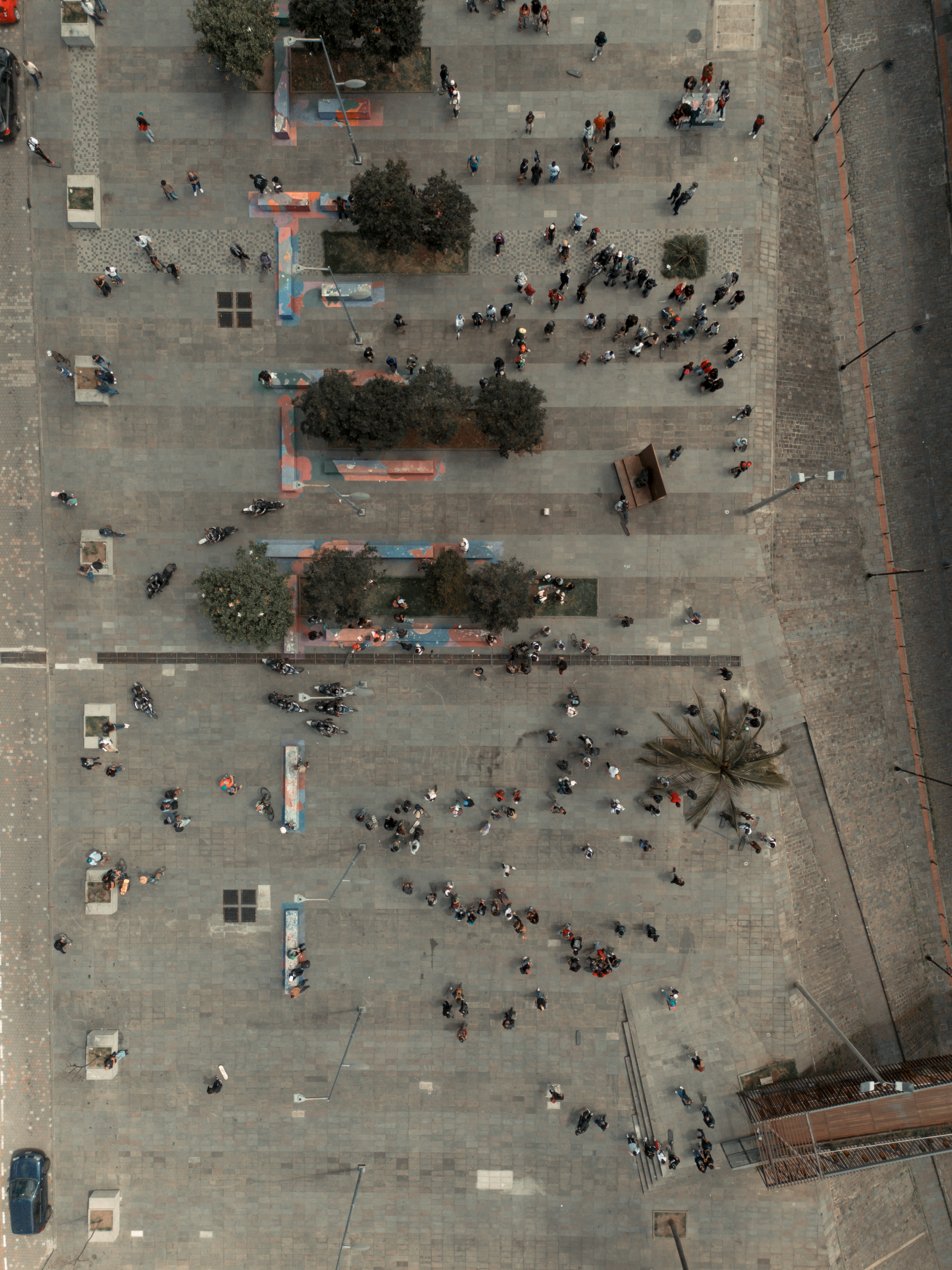 Go skate day 2026